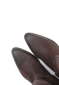 Botas de cuero marrón hasta el tobillo con puntera afilada, que presentan dobles hebillas en los laterales y un acabado de textura suave.