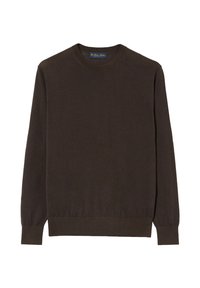 Maglione marrone a maniche lunghe con collo tondo. Tessuto morbido e liscio con polsini a costine. Design semplice senza motivi o accenti aggiuntivi.