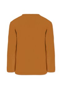 Langärmliges, runderhalsiges Shirt in einem einheitlichen, verbrannten Orange, aus glattem Stoff gefertigt, mit geradem Schnitt und ohne sichtbare Muster oder Akzente.