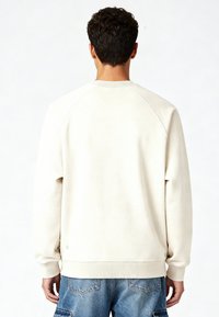 Sweat-shirt de couleur crème avec un tissu texturé, des poignets et un ourlet côtelés, et des manches raglan. Vue de dos, sans détails supplémentaires visibles.