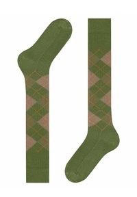 Burlington PRESTON - Kniekousen - jade