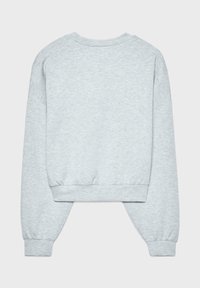 Hellgraues, langärmeliges, kurz geschnittenes Sweatshirt mit gerippten Bündchen und Saum, von hinten vor einfachem Hintergrund gezeigt.