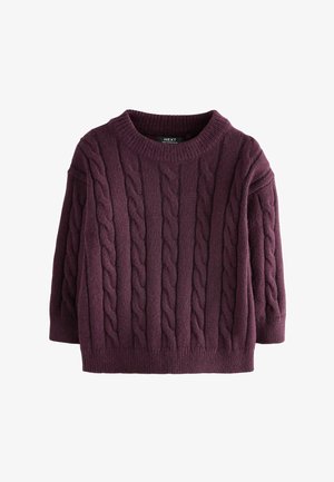 Next, REGULAR FIT - CABLE CREW NECK - Svetrík - plum