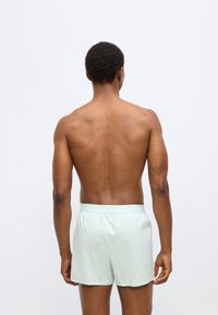 Ανοιχτό πράσινο μαγιό με απαλό ύφασμα, ελαστική μέση και μίνιμαλ σχεδιασμό, σε εικόνα από πίσω.