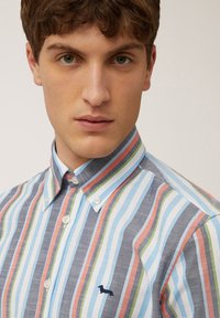 Gestreepte button-up shirt met blauwe, grijze, roze en groene lijnen. Klein geborduurd hondenlogo op de borst, met kraag.