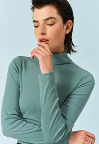 Next ROLL NECK STANDARD - Džemperis - teal