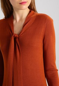 Rostfarbener Strickpullover mit weicher Textur, V-Ausschnitt und Knoten-Detail am Kragen. Lange Ärmel.
