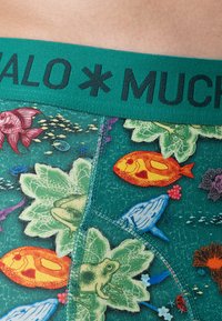 Krāsaini bokseršorti ar zaļu pamatni un ūdens tēmu zīmējumiem, tostarp zivīm, vardēm un augiem. Tumši zaļa elastīga josta.