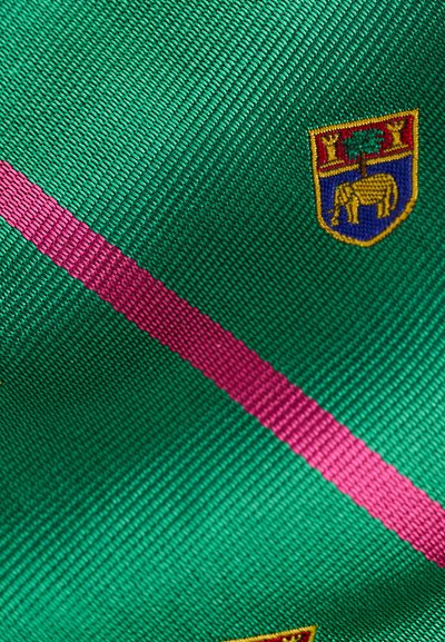 Πράσινο ύφασμα με μια διαγώνια ροζ ρίγα και μια μικρή κεντημένη ασπίδα που απεικονίζει έναν ελέφαντα κάτω από ένα δέντρο μέσα σε κίτρινο περίγραμμα.