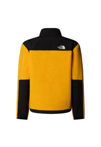 Κίτρινο φλις μπουφάν με μαύρες λεπτομέρειες, σχεδιασμό με ημιδιπλό φερμουάρ, ψηλό γιακά και λογότυπο εταιρείας στο πάνω μέρος της πλάτης. Μαλακή υφή με αντίθετα πάνελ.