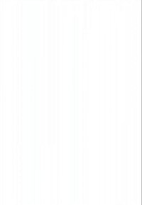 Blank vit bakgrund med vertikala linjer. Inga utmärkande drag, mönster eller detaljer synliga i bilden.