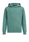 Jersey con capucha - green
