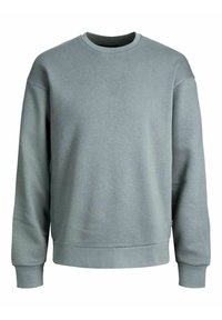 Jasnoszara bluza z okrągłym dekoltem, długimi rękawami i ściągaczami na mankietach. Gładka faktura i minimalistyczny design, bez widocznych wzorów czy akcentów.