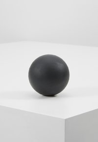 Black spherical object with a smooth texture, positioned on a white square surface. Compact, uniform shape with no visible markings.