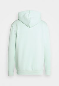 Felpa verde menta, tessuto morbido, vestibilità rilassata, cappuccio con cordoncino, polsini e orlo a costine, senza decorazioni, texture liscia, vista posteriore.