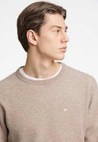 Junk De Luxe RECYCLED MIX  - Strickpullover - lt sand mel