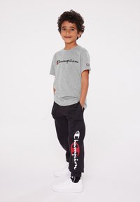 Champion ICONS CREWNECK LARGE LOGO - Camiseta estampada - grey