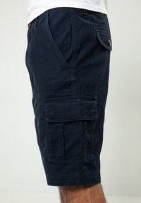 Threadbare Shorts - blue