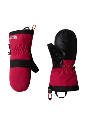 The North Face MONTANA UNISEX - Lapaset - lali guran