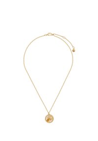 Collier chaîne en or avec un pendentif rond ornée d'un croissant de lune, d'une étoile et d'une tête d'animal, présenté sur un fond blanc.