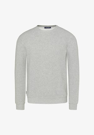 Grauer Sweatshirt, Rundhals, lange Raglanärmel, gerippte Bündchen und Saum, aus einem weichen Baumwollmix, minimalistischem Design ohne Muster oder Verzierungen.
