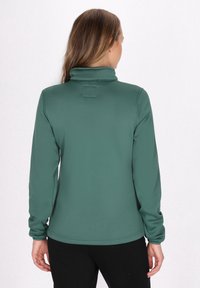 Pullover verde a maniche lunghe con colletto alto, realizzato in tessuto liscio. Presenta un piccolo etichetta sul retro e polsini aderenti.