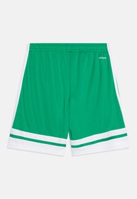 Gröna sportshorts med vita sidostråkar och vit kant i fållen, elastisk midja och liten "AEROREADY"-text på höger sida.