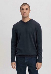hessnatur V REGULAR  - Strickpullover - marine