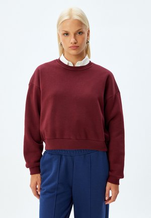 BASIC - Sweatshirt - brown