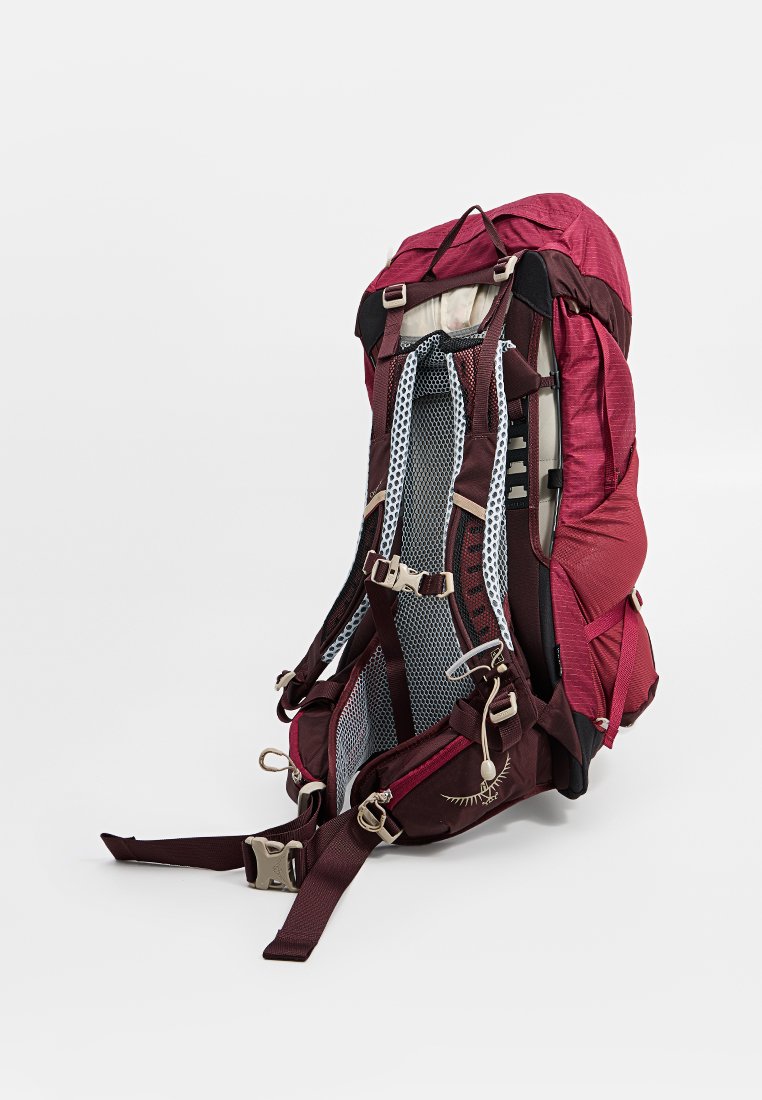 Grote rode wandeltas met gevoerde, geventileerde schouderbanden, verstelbare borst- en heupgordels, en meerdere compartimenten tegen een witte achtergrond.