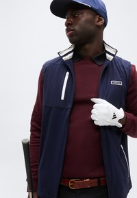 Άνδρας που φορά μπλε μπλελετό γιλέκο, μπορντό πουκάμισο, μπλε καπέλο και λευκό γάντι γκολφ κρατώντας ένα μπαστούνι γκολφ σε απλό φωτεινό φόντο.