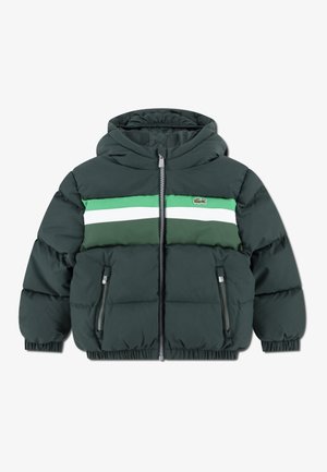CHEST STRIPE PUFFE - Ziemas jaka - sinople
