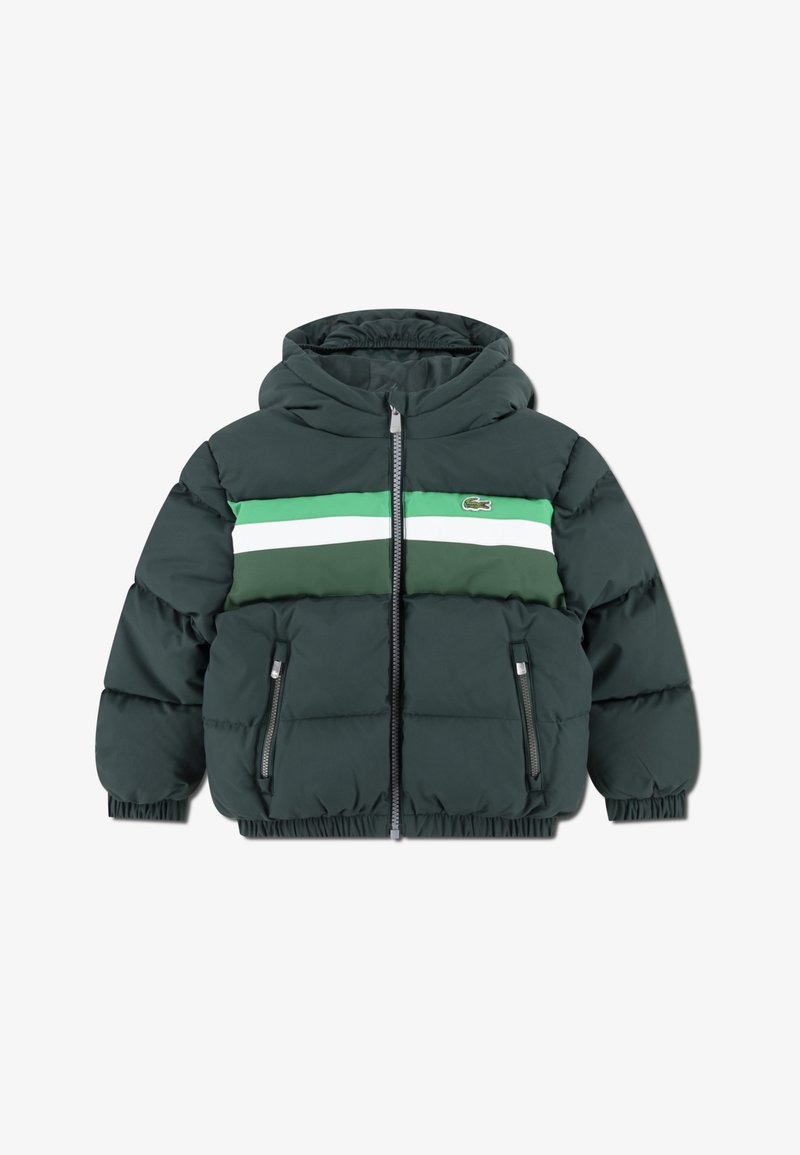 Lacoste CHEST STRIPE PUFFE - Talvitakki - sinople