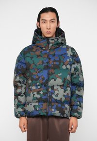 EA7 Emporio Armani MOUNTAIN ECO HOODED JACKET GRAPHIC - Ziemas jaka - multi-coloured