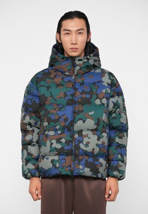 MOUNTAIN ECO HOODED JACKET GRAPHIC - Ziemas jaka - multi-coloured