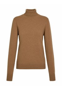 Brauner Rollkragenpullover aus weichem Strickmaterial, mit gerippten Bündchen und Saum, einer taillierten Silhouette und glatter Textur.