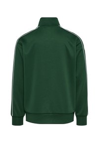 Grüne Zip-Jacke mit hohem Kragen, gerippten Bündchen und weißen Schulterstreifen. Glatte Textur und taillierte Passform. Rückansicht.