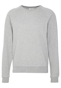 Sweat-shirt gris clair en tissu doux, avec un col rond, des manches raglan longues, et des poignets et ourlet côtelés. Texture lisse.