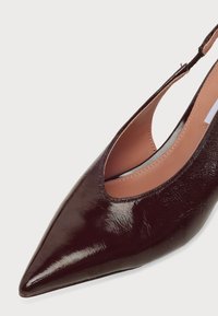 Chaussure slingback marron foncé brillante à bout pointu, talon bas et doublure intérieure beige sur fond blanc.