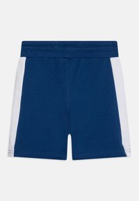 Zili sporta šorti ar vienkrāsainu tumši zilu korpusu, baltām sānu paneļiem, elastīgu jostu un mīkstu, elpojošu audumu.