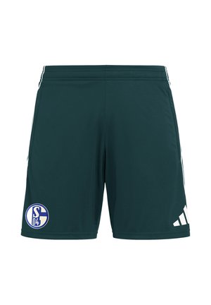 FC SCHALKE 04 REPLICAS - Pantaloncini sportivi - gruengruen