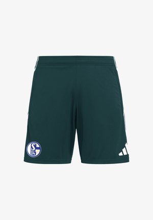 Pantaloncini sportivi verde scuro con logo Adidas bianco sulla gamba destra ed emblema del club Schalke 04 blu e bianco sulla gamba sinistra.