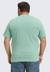 Mintgroene t-shirt met korte mouwen van katoen met een gladde textuur. Het shirt heeft een eenvoudig ontwerp en een ronde halslijn.