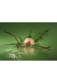 Thumbnail Image 5