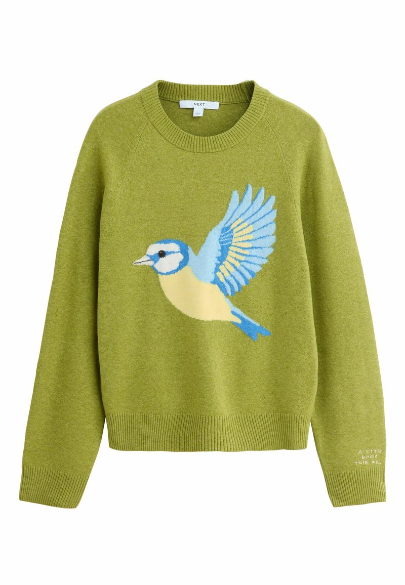 Grüner Pullover aus Strickmaterial mit einem Design eines blauen und gelben Vogels. Auffällige gerippte Bündchen und Saum, mit Text auf dem Ärmel.