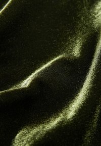 Dunkelgrüner Samtstoff mit glatter, glänzender Textur, der weiche Falten und subtile Lichtreflexionen über die Oberfläche aufweist.