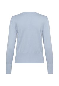 Maglione lavorato a maglia di colore azzurro chiaro con maniche lunghe, scollatura a girocollo e vita aderente. Tessuto liscio e leggermente elastico. Vista posteriore mostrata.
