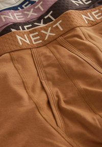 Next A FRONTS 10 PACK - Boxer alsónadrág - blue neutral purple
