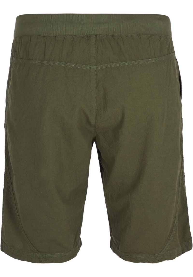 Damen Kleider | Zizzi Shorts ivy green/grün - CN65954 Damen Kleider | Zizzi Shorts ivy green/grün - CN65954