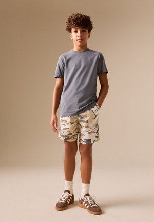 Next, REGULAR FIT - PULL ON SHORTS  . - Lühikesed püksid - grey ecru